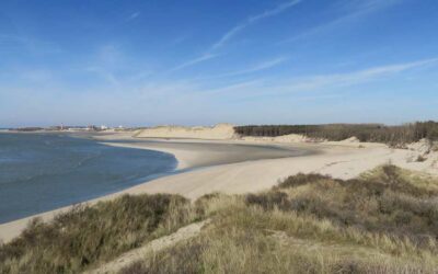 La baie d’Authie